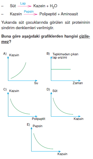 Sindirimsistemikonutesti4008