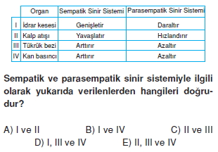 Sinirsistemicözümlütest2001