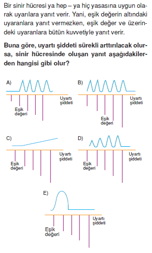 Sinirsistemicözümlütest2002