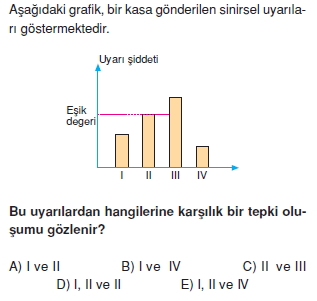 Sinirsistemikonutesti3003