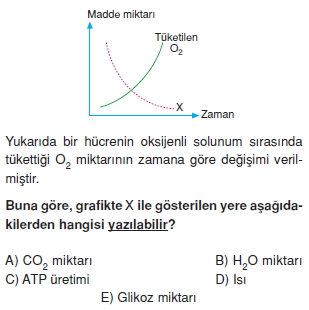 Solunumkonutesti1003