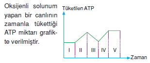 Solunumkonutesti1007