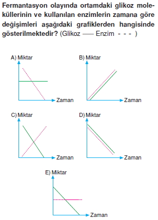 Solunumkonutesti2006