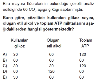 Solunumkonutesti2007