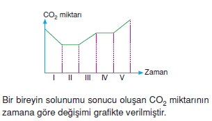 Solunumkonutesti3001