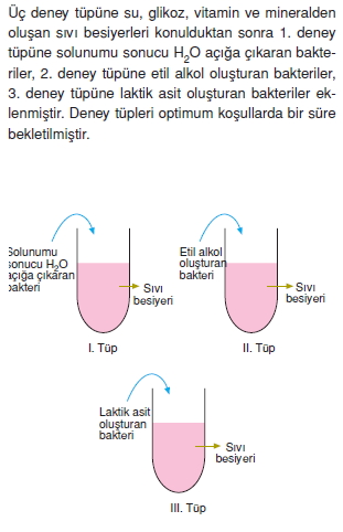 Solunumkonutesti3001