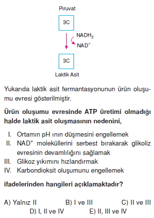 Solunumkonutesti3002