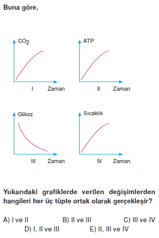 Solunumkonutesti3002