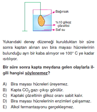 Solunumkonutesti3003