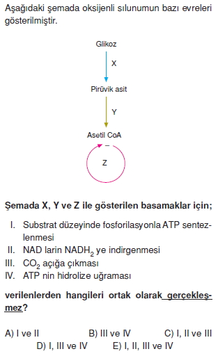 Solunumkonutesti3004