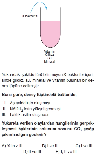 Solunumkonutesti3005