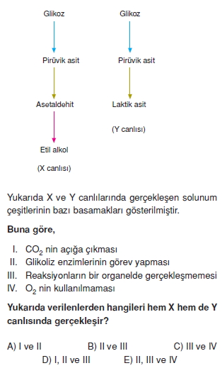 Solunumkonutesti3006