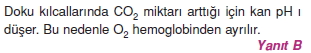 Solunumsistemicözümler1005