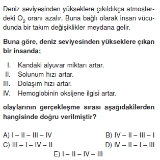 Solunumsistemicözümlütest1002