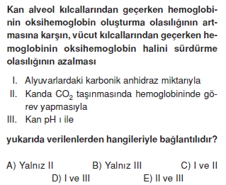 Solunumsistemicözümlütest1004