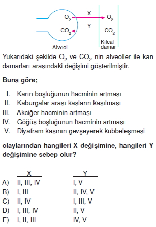 Solunumsistemicözümlütest1005