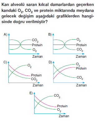 Solunumsistemicözümlütest1006