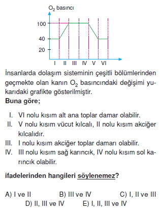 Solunumsistemicözümlütest2001