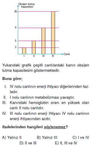 Solunumsistemicözümlütest2002