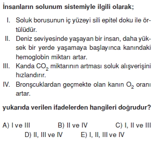 Solunumsistemicözümlütest2004