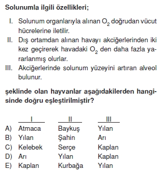 Solunumsistemicözümlütest2007