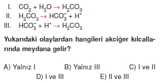 Solunumsistemikonutesti1002