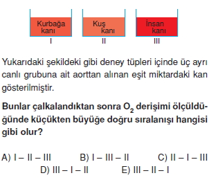 Solunumsistemikonutesti1004