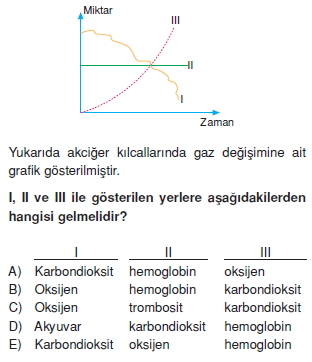 Solunumsistemikonutesti1005