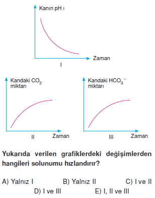 Solunumsistemikonutesti2002