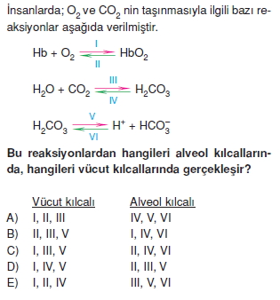 Solunumsistemikonutesti3004