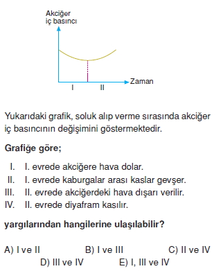 Solunumsistemikonutesti4005