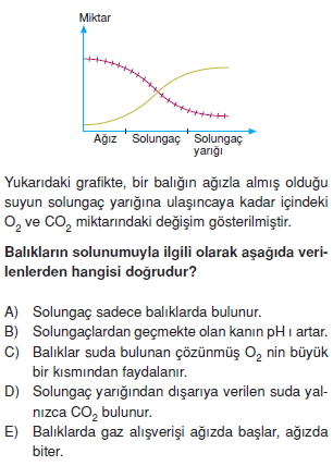 Solunumsistemikonutesti4006