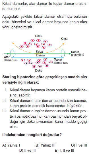 Tasimasistemivebagısiklikcözümlütest1001