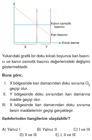 Tasimasistemivebagısiklikcözümlütest1003