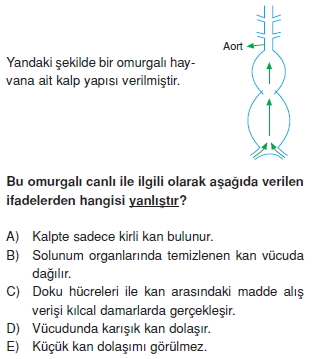 Tasimasistemivebagısiklikcözümlütest1004