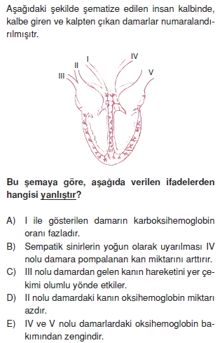 Tasimasistemivebagısiklikcözümlütest2001