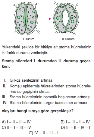 Tasimasistemivebagısiklikcözümlütest2002