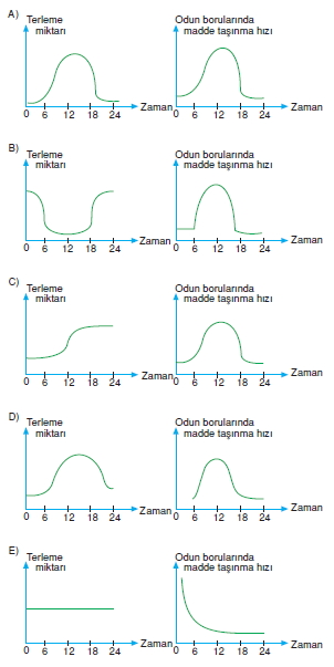 Tasimasistemivebagısiklikcözümlütest2007