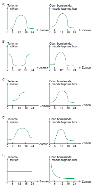 Tasimasistemivebagısiklikcözümlütest2007