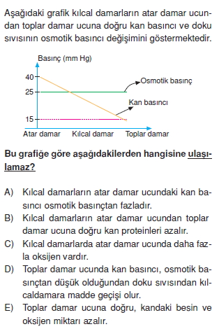 Tasimasistemivebagısiklikkonutesti3001