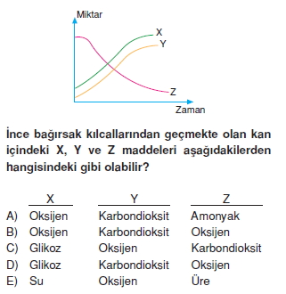 Tasimasistemivebagısiklikkonutesti3003