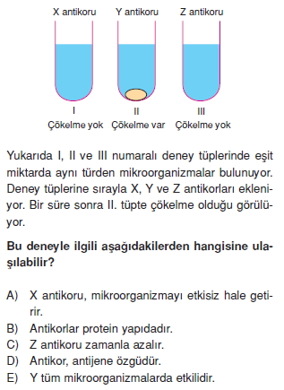 Tasimasistemivebagısiklikkonutesti3004