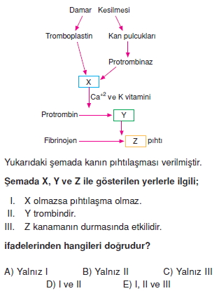 Tasimasistemivebagısiklikkonutesti4005