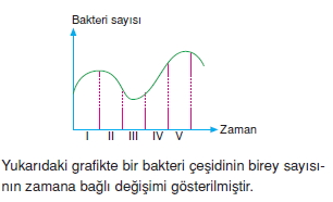 canlilarinsiniflandirilmasicözümlütest1004