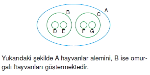 canlilarinsiniflandirilmasicözümlütest2002