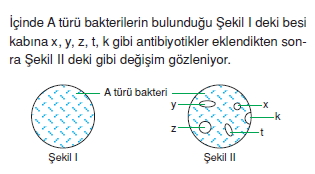 canlilarinsiniflandirilmasicözümlütest2003