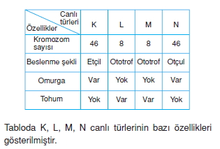 canlilarinsiniflandirilmasicözümlütest2004