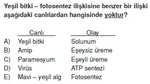 canlilarinsiniflandirilmasicözümlütest2005