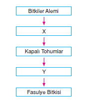 canlilarinsiniflandirilmasikonutesti3002