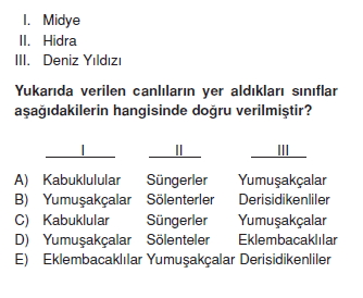 canlilarinsiniflandirilmasikonutesti6006